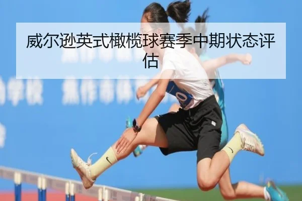 威尔逊英式橄榄球赛季中期状态评估